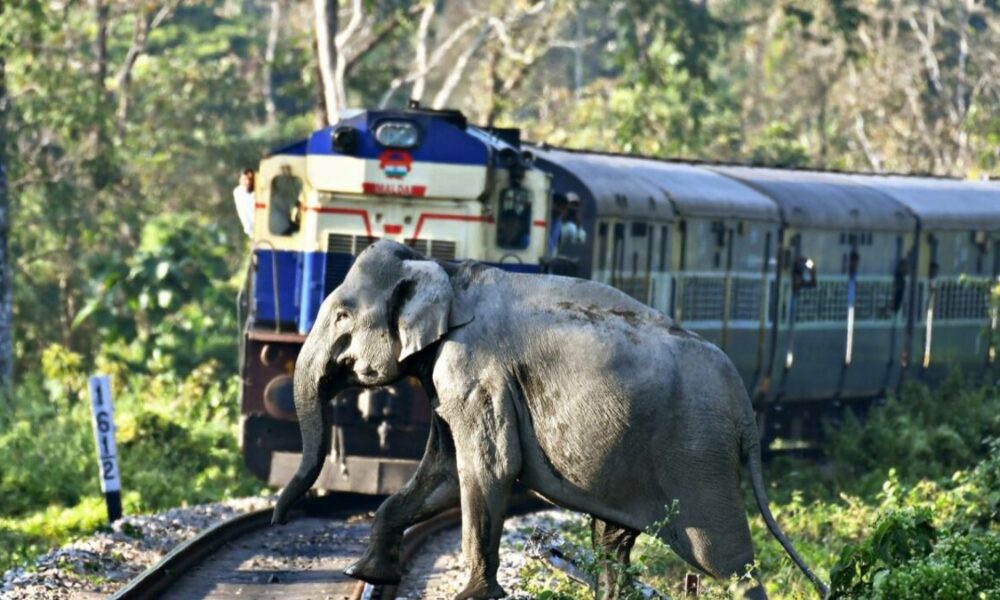 Train accident scene